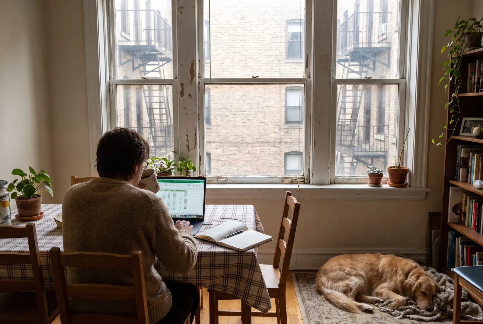 Owner comparing dog care prices on a laptop and notebook at home in Chicago